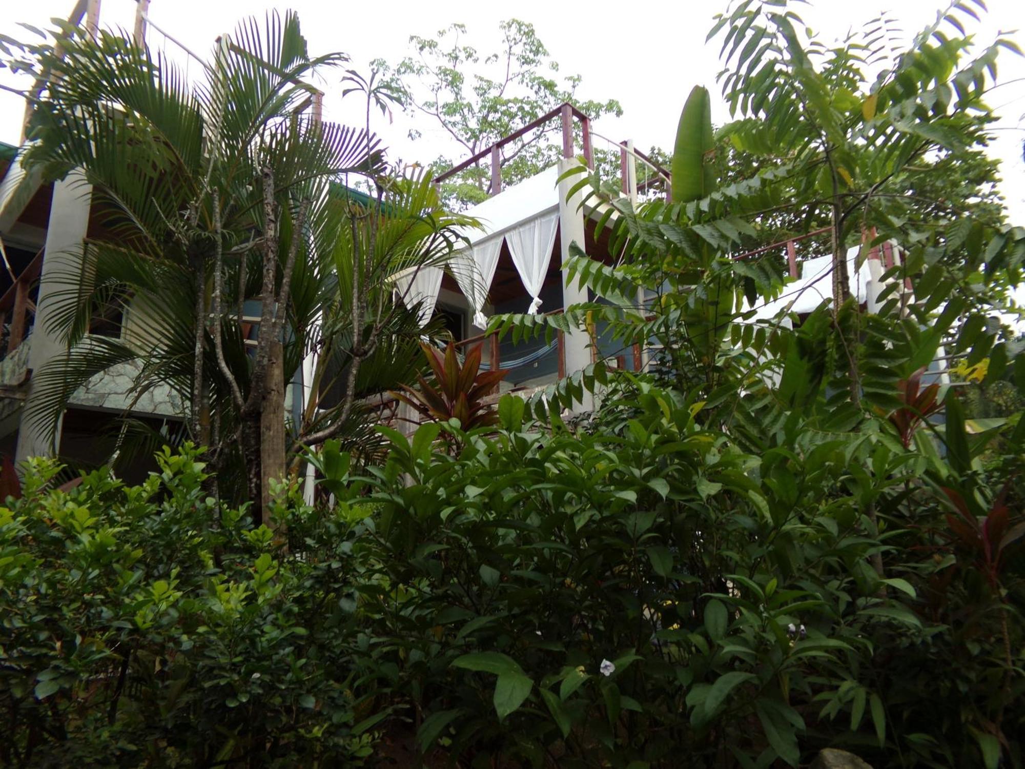 Iluminar Beachfront Suites Nosara Buitenkant foto